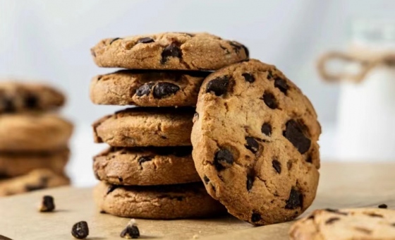 BG大游(中国)唯一官方网站